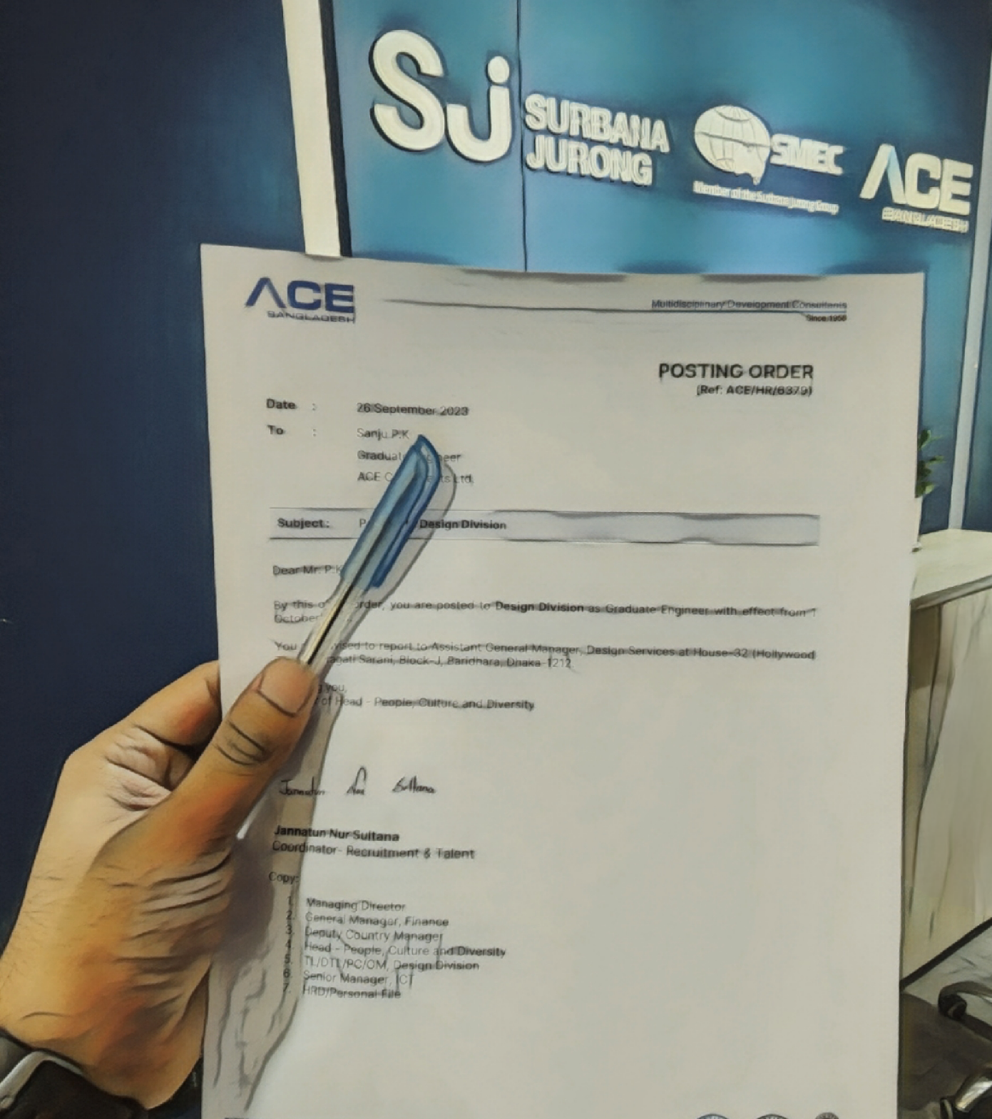 Professional Journey